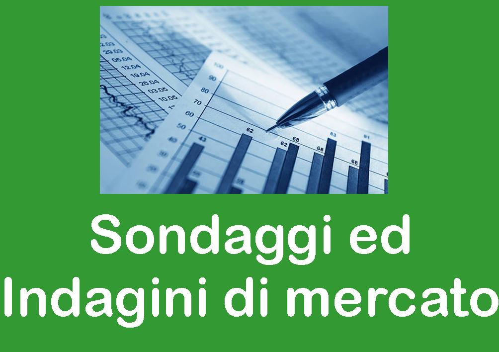 sondaggi_e_indagini_di_mercato